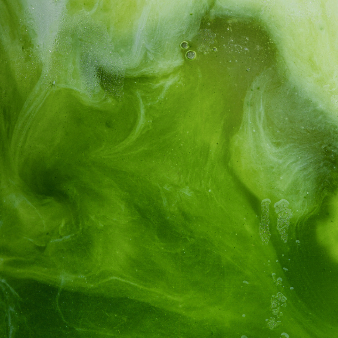 Why Amatsu Matcha Is the Best Matcha in the UK: A Functional Wellness Revolution