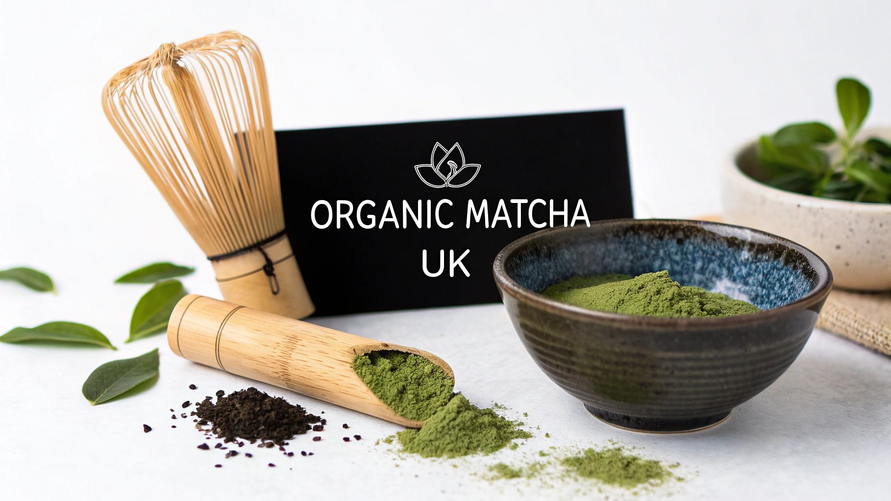 Your Guide to the Best Organic Matcha Powder in the UK