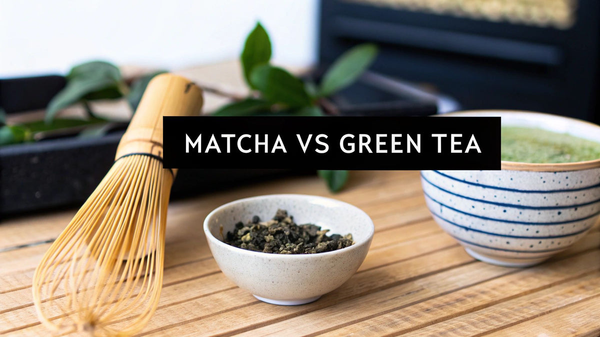 Matcha Powder vs Green Tea: The Ultimate Guide to a Better Brew